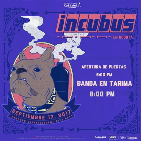 chamorro city hall parqueadero|Ha llegado el día Incubus esta noche! .